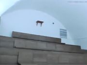 Langzame en sensuele orale seks Langzame en sensuele orale seks