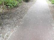 Hij maakt seks met de vrouw van een andere man voor hem Hij maakt seks met de vrouw van een andere man voor hem